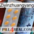 Ziyinzhuangyang 44